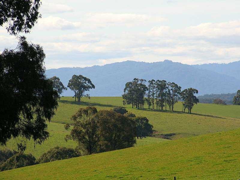 175 Beenak Road, Gembrook VIC 3783
