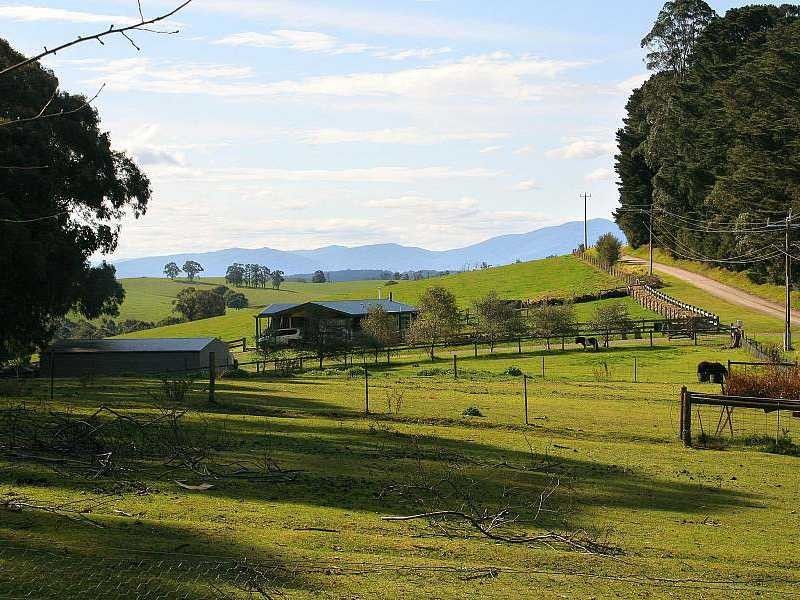 175 Beenak Road, Gembrook VIC 3783
