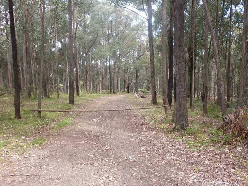 182 Gembrook Tonimbuk Road, Gembrook VIC 3783