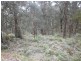 182 Gembrook Tonimbuk Road, Gembrook VIC 3783