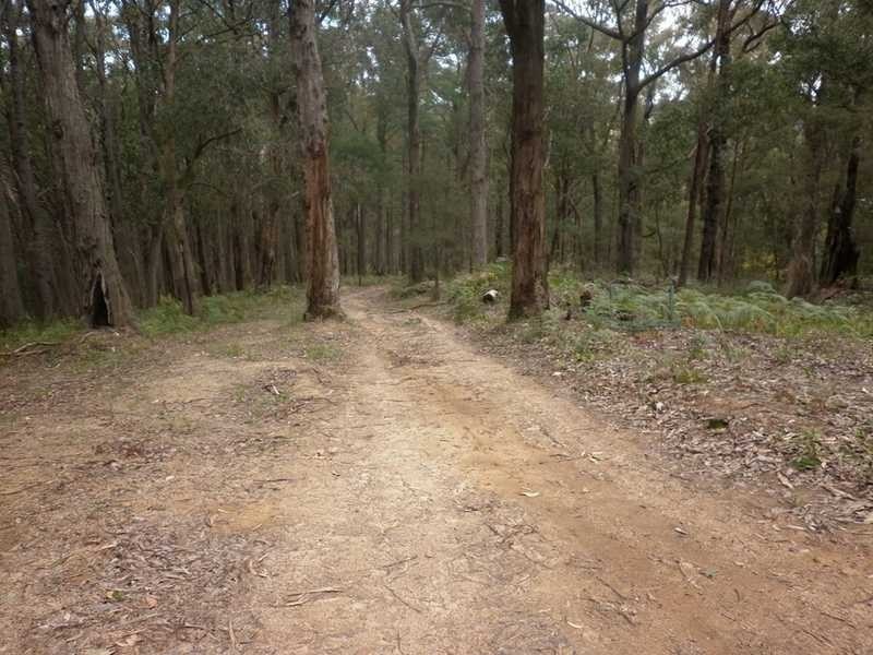 182 Gembrook Tonimbuk Road, Gembrook VIC 3783