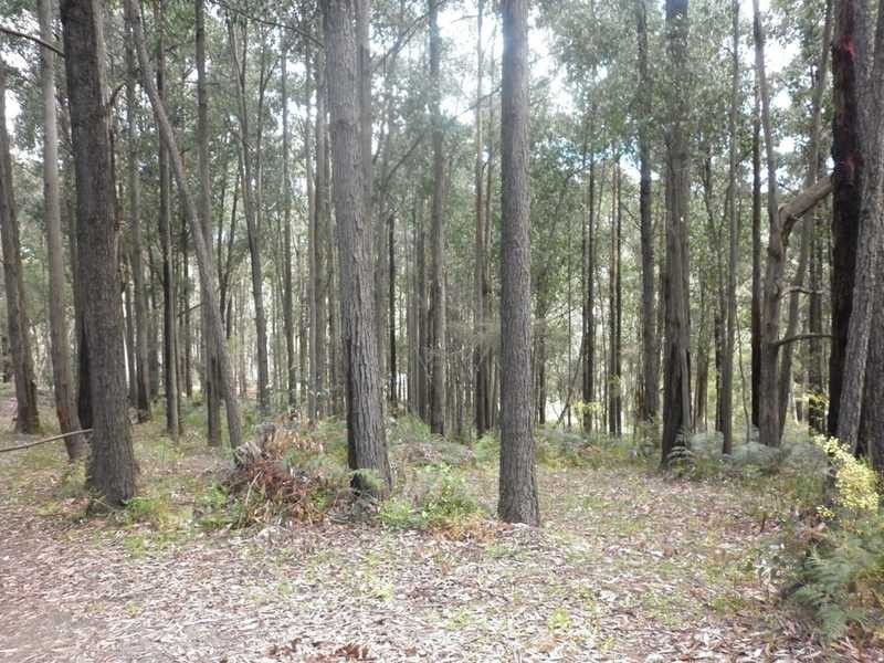 172 Gembrook Tonimbuk Road, Gembrook VIC 3783