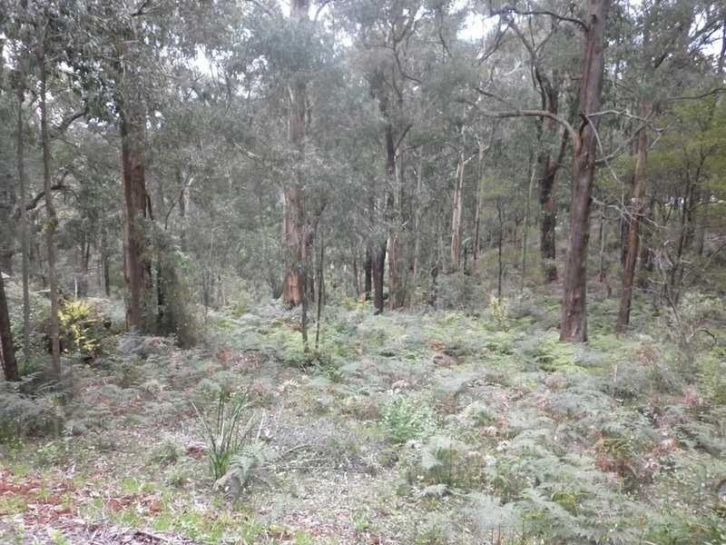 172 Gembrook Tonimbuk Road, Gembrook VIC 3783