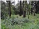 257 Belgrave Gembrook Road, Emerald VIC 3782