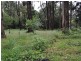 257 Belgrave Gembrook Road, Emerald VIC 3782