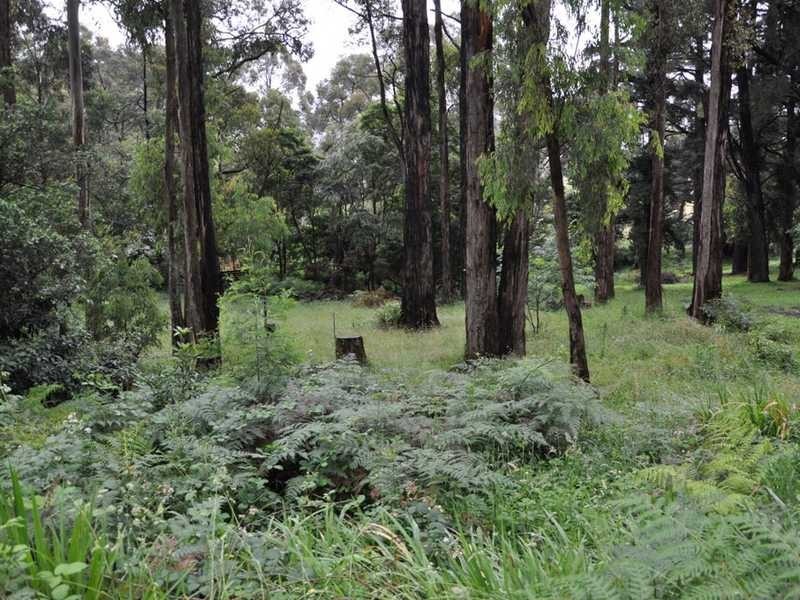 257 Belgrave Gembrook Road, Emerald VIC 3782