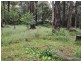 257 Belgrave Gembrook Road, Emerald VIC 3782