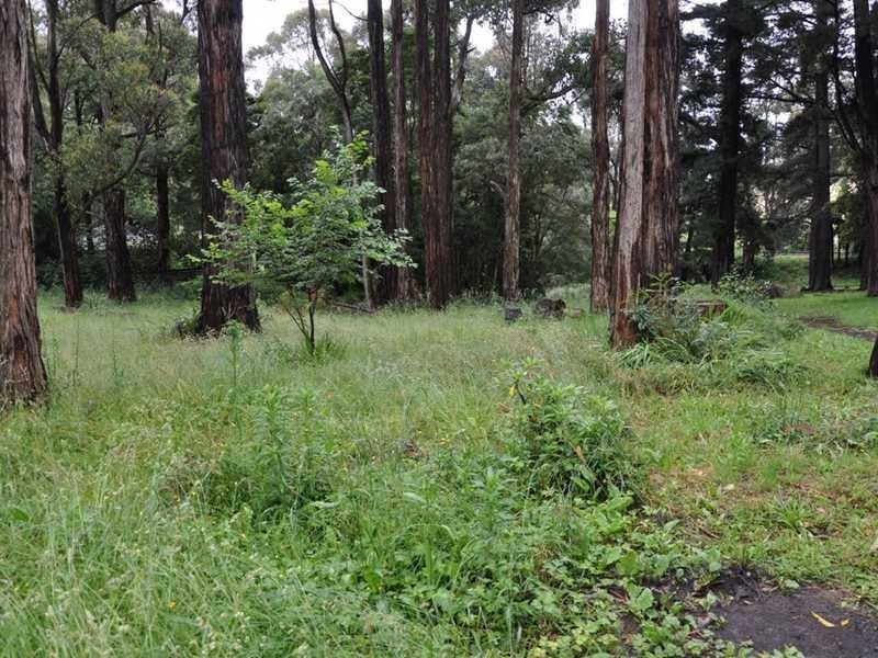 257 Belgrave Gembrook Road, Emerald VIC 3782