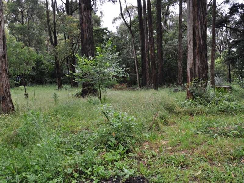 257 Belgrave Gembrook Road, Emerald VIC 3782