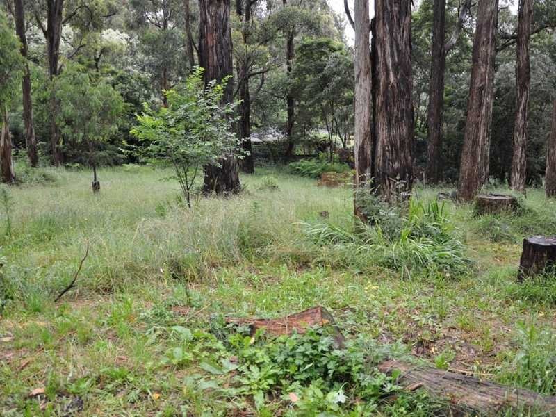 257 Belgrave Gembrook Road, Emerald VIC 3782