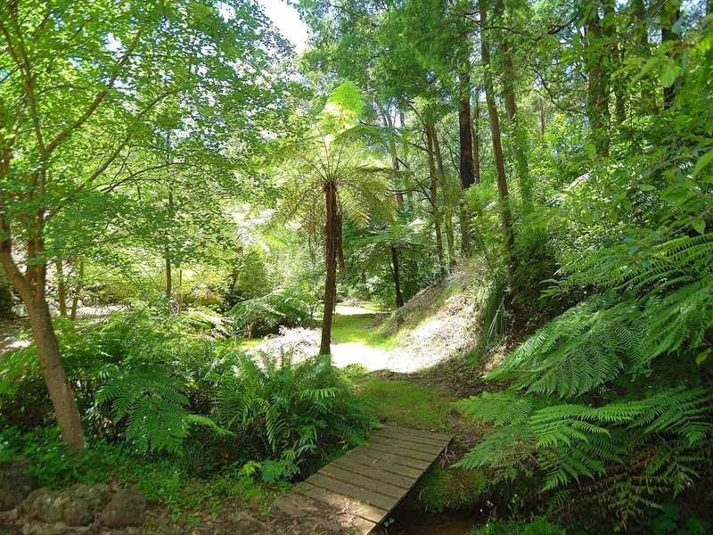 27 Alexander Road, Cockatoo VIC 3781