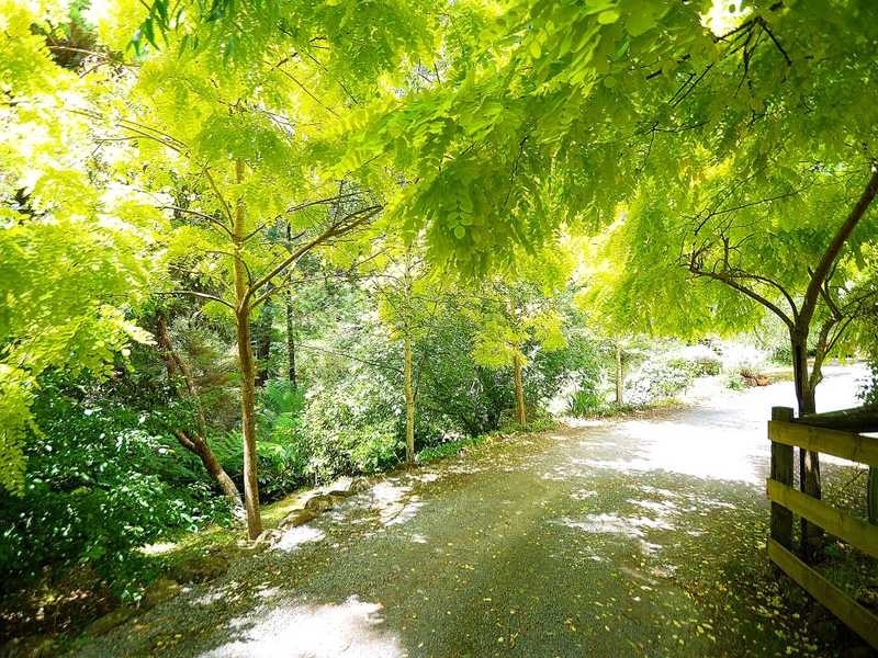 27 Alexander Road, Cockatoo VIC 3781