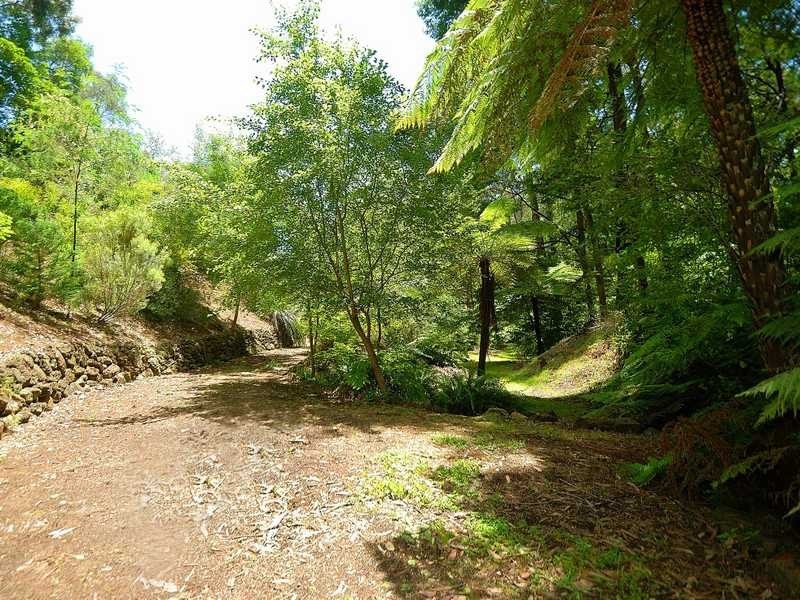 27 Alexander Road, Cockatoo VIC 3781