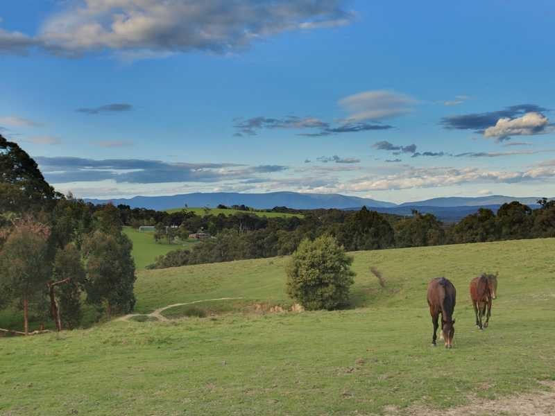 22 Avon Road, Avonsleigh VIC 3782