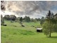 22 Avon Road, Avonsleigh VIC 3782