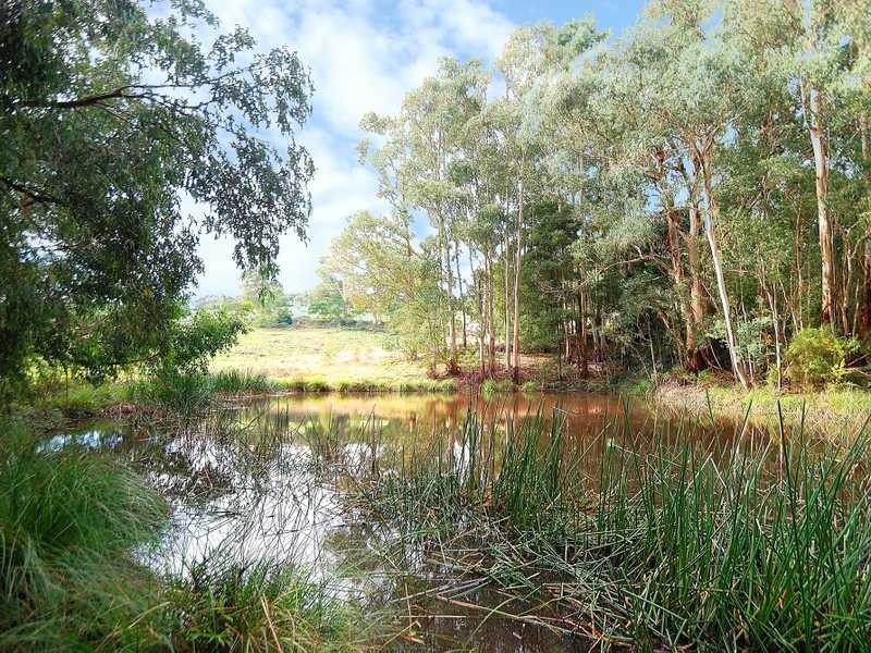 230 Mountain Road, Gembrook VIC 3783