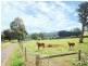 230 Mountain Road, Gembrook VIC 3783