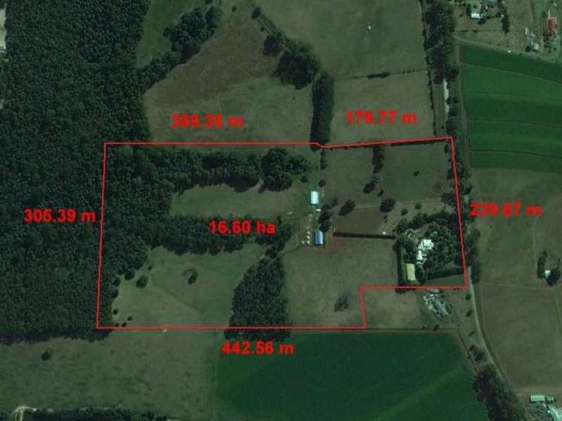 230 Mountain Road, Gembrook VIC 3783