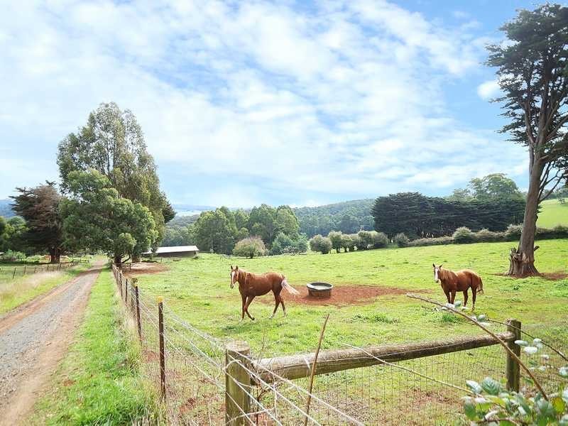 230 Mountain Road, Gembrook VIC 3783