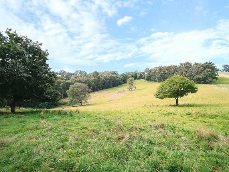 230 Mountain Road, Gembrook VIC 3783