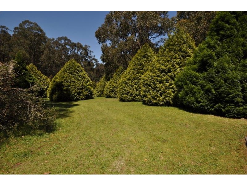 405 Mt Eirene Road, Gembrook VIC 3783