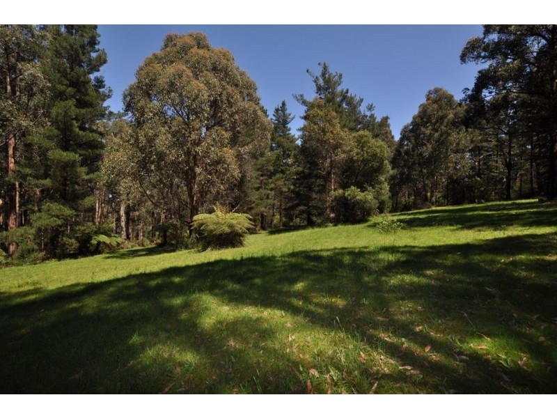 405 Mt Eirene Road, Gembrook VIC 3783