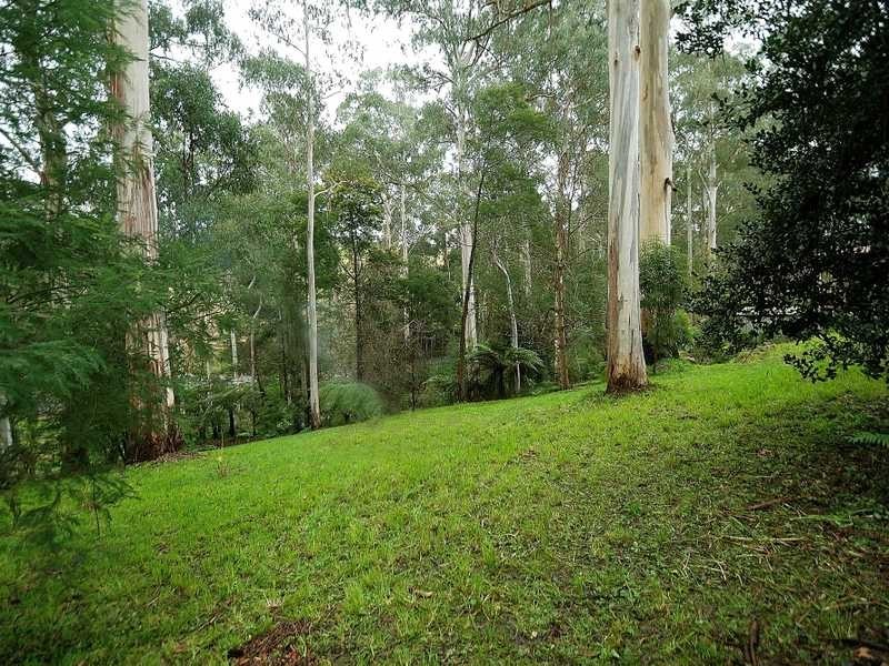 3 Lisheen Road, Cockatoo VIC 3781