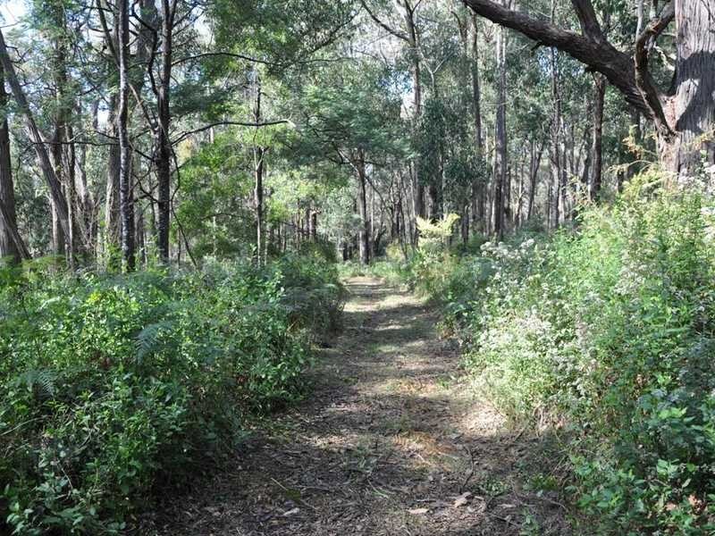 Lot 9 Hepner Road, Emerald VIC 3782