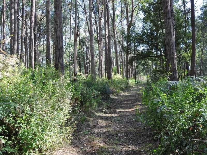 Lot 9 Hepner Road, Emerald VIC 3782