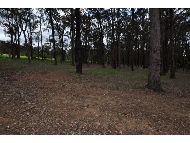 94 Collie Road, Gembrook VIC 3783