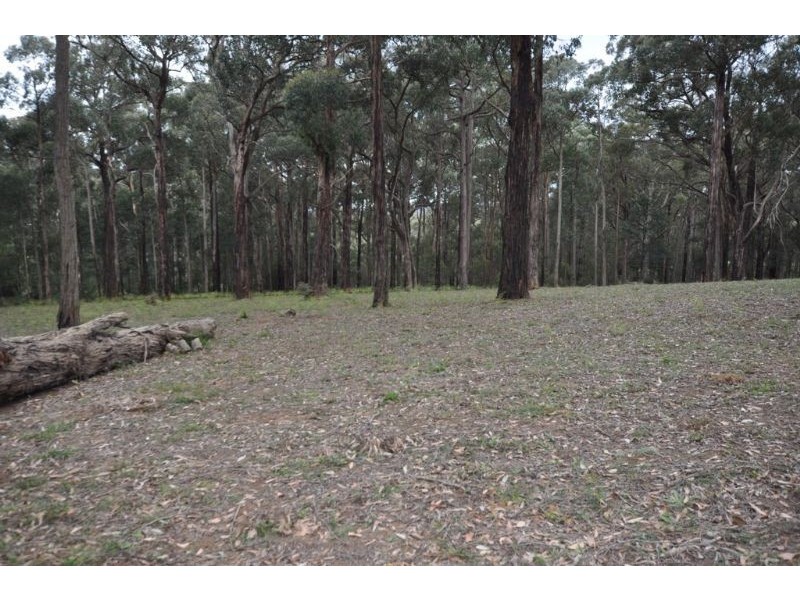 94 Collie Road, Gembrook VIC 3783