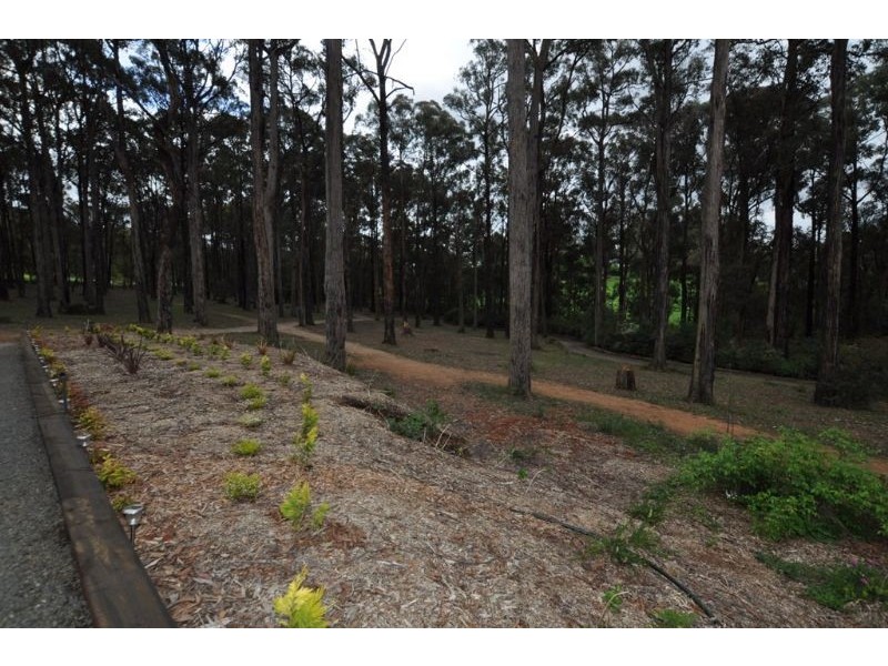 94 Collie Road, Gembrook VIC 3783
