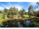 451 Tschampions Road, Macclesfield VIC 3782