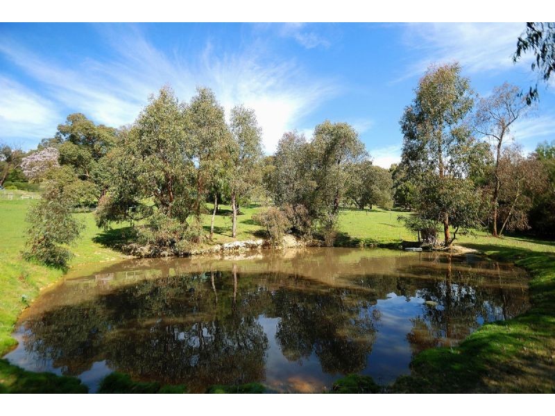 451 Tschampions Road, Macclesfield VIC 3782