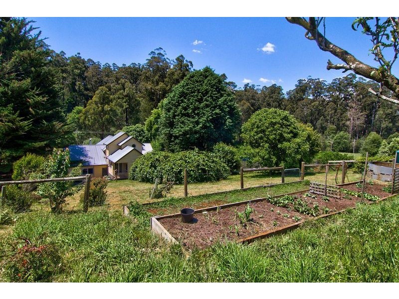 31 Harewood Park Road, Gembrook VIC 3783