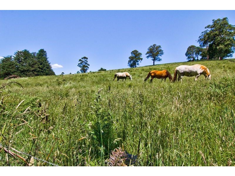 31 Harewood Park Road, Gembrook VIC 3783