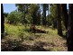 25A Bailey Road, Cockatoo VIC 3781