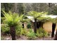635 Beenak East Road, Gembrook VIC 3783