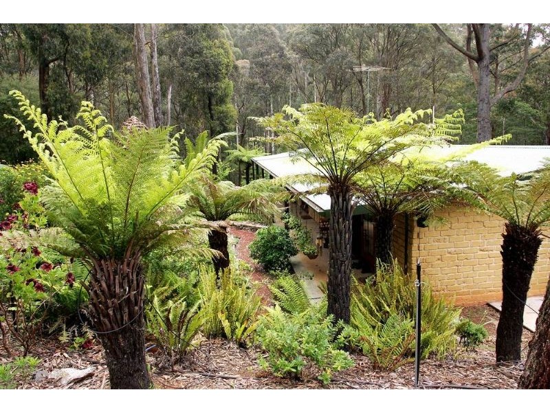 635 Beenak East Road, Gembrook VIC 3783