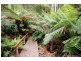 635 Beenak East Road, Gembrook VIC 3783