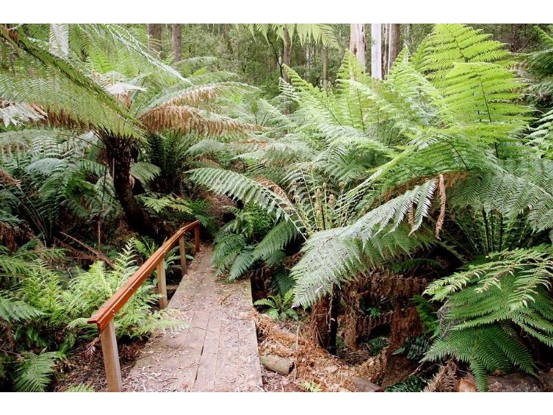 635 Beenak East Road, Gembrook VIC 3783