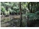 635 Beenak East Road, Gembrook VIC 3783