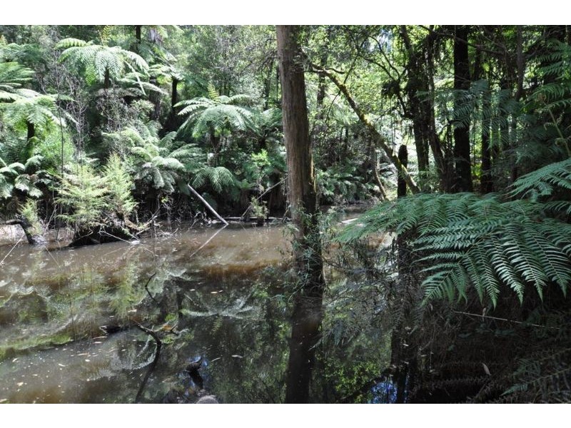 635 Beenak East Road, Gembrook VIC 3783