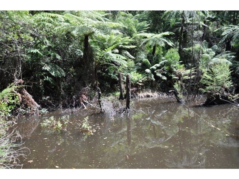 635 Beenak East Road, Gembrook VIC 3783