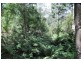 635 Beenak East Road, Gembrook VIC 3783