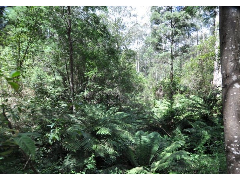 635 Beenak East Road, Gembrook VIC 3783
