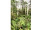 635 Beenak East Road, Gembrook VIC 3783