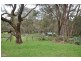 60 Paton Road, Macclesfield VIC 3782