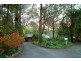 1 Albert Road, Clematis VIC 3782