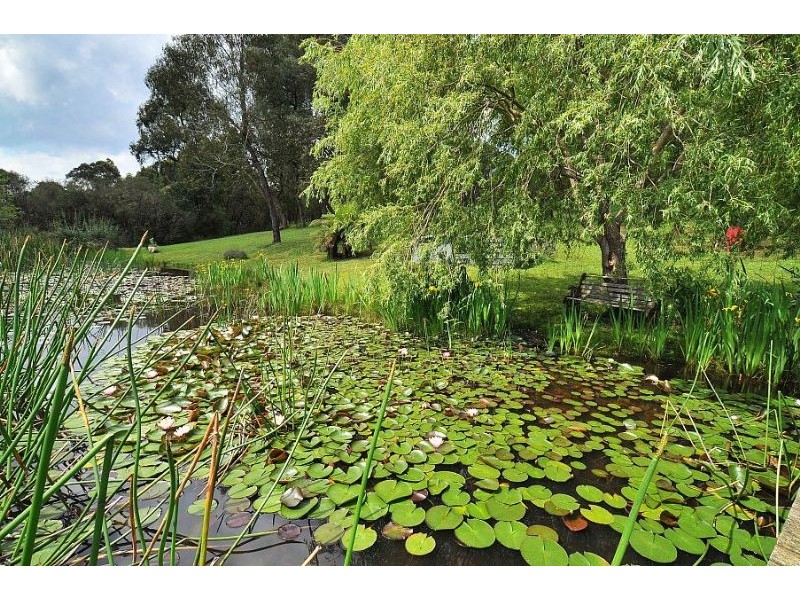 13 Cherry Road, Macclesfield VIC 3782